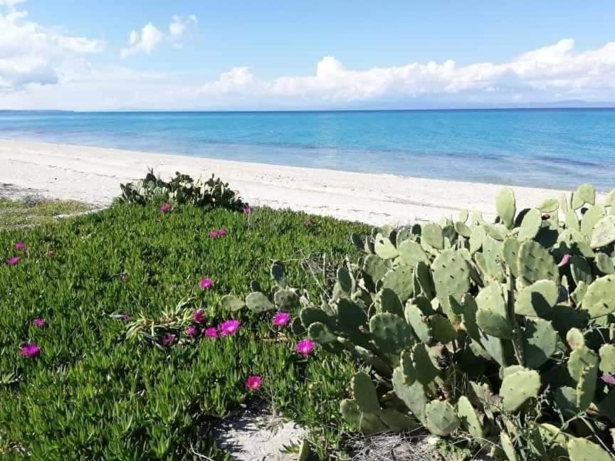 Villa Christina Sea Side A Hanioti Eksteriør bilde