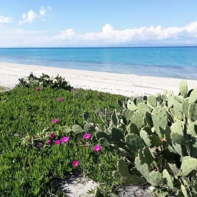 Villa Christina Sea Side A Hanioti Eksteriør bilde